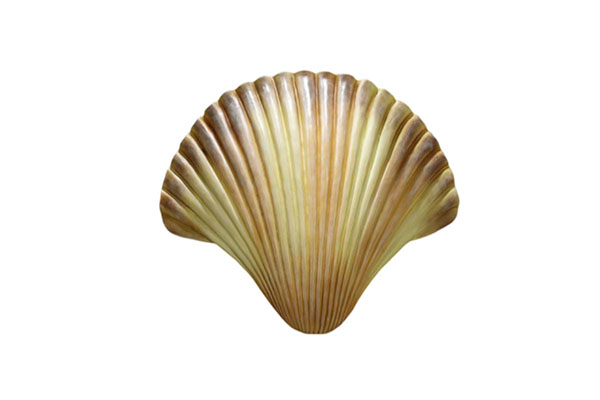 What are the unique advantages of shell sculpture in enhancing the visual appeal of space?